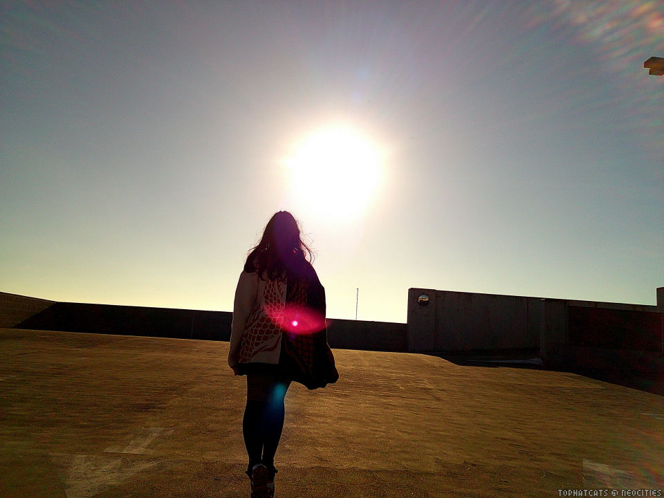 photo of ange backlit by a bright afternoon sun